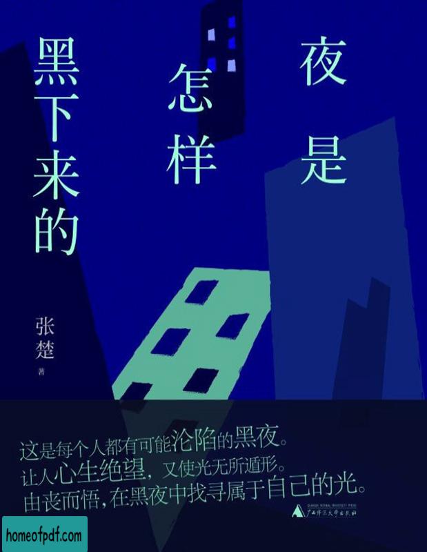 《夜是怎样黑下来的》张楚修订版.jpg