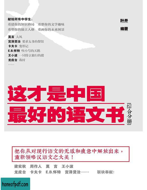 《这才是中国最好的语文书(综合分册)》叶开修订版.jpg